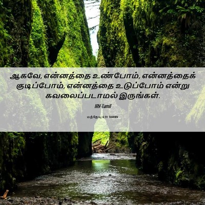 Picture 06 - மத்தேயு 6:31 TAMIRV - ஆகவே, என்னத்தை - Bible Verse Picture