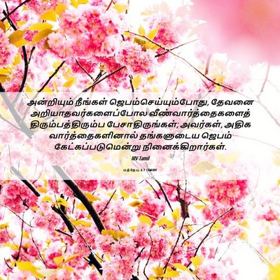 Picture 06 - மத்தேயு 6:7 TAMIRV - அன்றியும் நீங்கள் - Bible Verse Picture