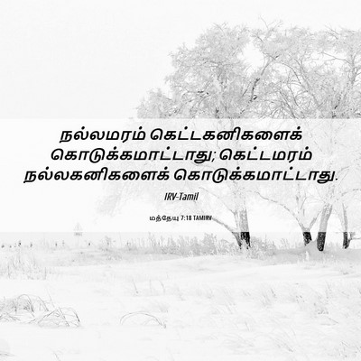 Picture 06 - மத்தேயு 7:18 TAMIRV - நல்லமரம் - Bible Verse Picture