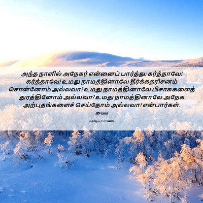 Picture 06 - மத்தேயு 7:22 TAMIRV - அந்த நாளில் - Bible Verse Picture