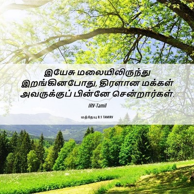 Picture 06 - மத்தேயு 8:1 TAMIRV - இயேசு - Bible Verse Picture