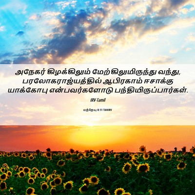 Picture 06 - மத்தேயு 8:11 TAMIRV - அநேகர் - Bible Verse Picture