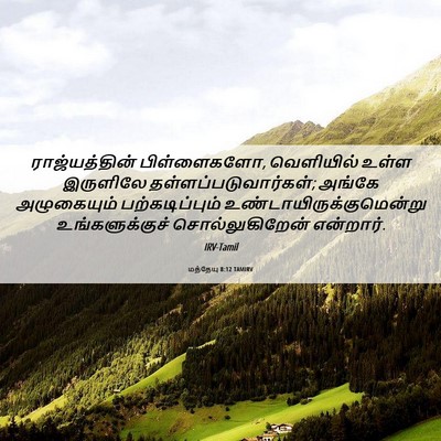 Picture 06 - மத்தேயு 8:12 TAMIRV - ராஜ்யத்தின் - Bible Verse Picture