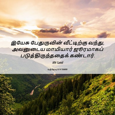 Picture 06 - மத்தேயு 8:14 TAMIRV - இயேசு பேதுருவின் - Bible Verse Picture