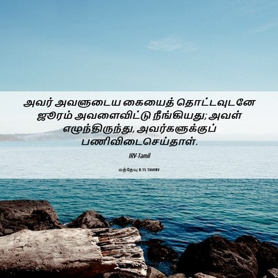 Picture 06 - மத்தேயு 8:15 TAMIRV - அவர் அவளுடைய - Bible Verse Picture