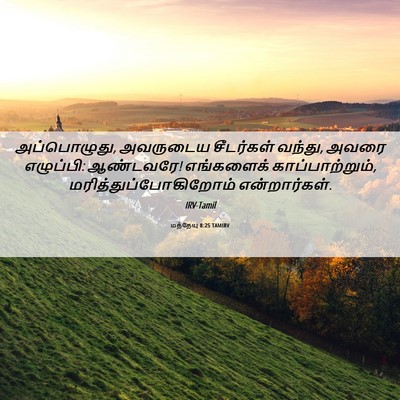 Picture 06 - மத்தேயு 8:25 TAMIRV - அப்பொழுது, - Bible Verse Picture