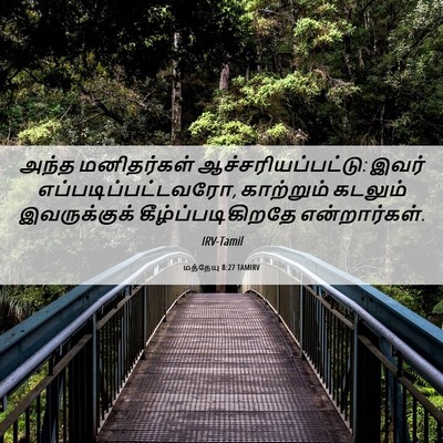 Picture 06 - மத்தேயு 8:27 TAMIRV - அந்த மனிதர்கள் - Bible Verse Picture