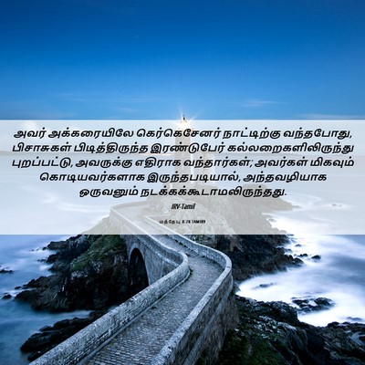 Picture 06 - மத்தேயு 8:28 TAMIRV - அவர் அக்கரையிலே - Bible Verse Picture