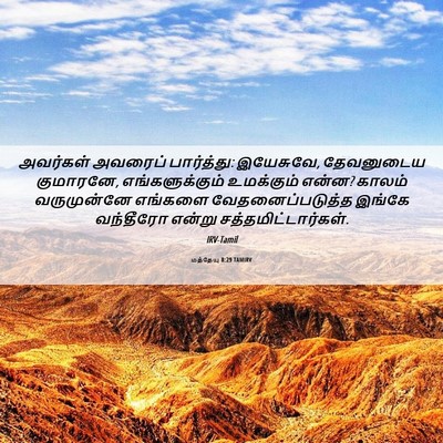 Picture 06 - மத்தேயு 8:29 TAMIRV - அவர்கள் அவரைப் - Bible Verse Picture