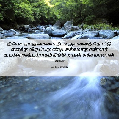 Picture 06 - மத்தேயு 8:3 TAMIRV - இயேசு தமது கையை - Bible Verse Picture