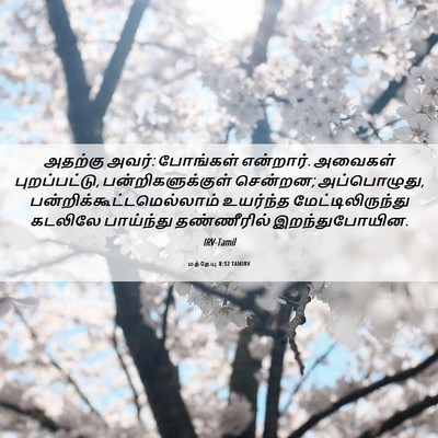 Picture 06 - மத்தேயு 8:32 TAMIRV - அதற்கு அவர்: - Bible Verse Picture