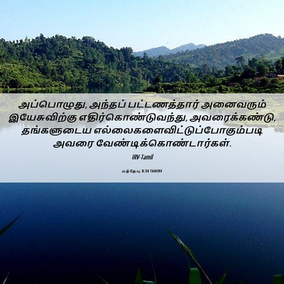 Picture 06 - மத்தேயு 8:34 TAMIRV - அப்பொழுது, அந்தப் - Bible Verse Picture