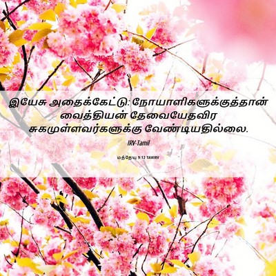 Picture 06 - மத்தேயு 9:12 TAMIRV - இயேசு - Bible Verse Picture
