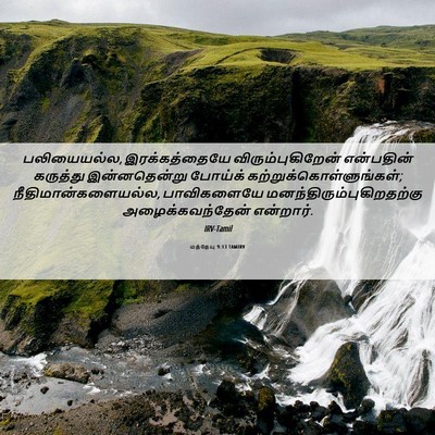 Picture 06 - மத்தேயு 9:13 TAMIRV - பலியையல்ல, - Bible Verse Picture