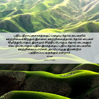 Picture 06 - மத்தேயு 9:17 TAMIRV - புதிய - Bible Verse Picture