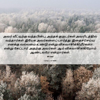Picture 06 - மத்தேயு 9:28 TAMIRV - அவர் வீட்டிற்கு - Bible Verse Picture