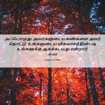 Picture 06 - மத்தேயு 9:29 TAMIRV - அப்பொழுது, - Bible Verse Picture