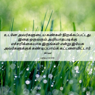 Picture 06 - மத்தேயு 9:30 TAMIRV - உடனே அவர்களுடைய - Bible Verse Picture