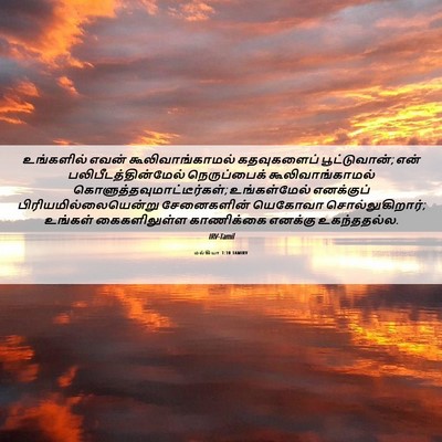 Picture 06 - மல்கியா 1:10 TAMIRV - உங்களில் எவன் - Bible Verse Picture
