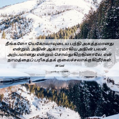 Picture 06 - மல்கியா 1:12 TAMIRV - நீங்களோ - Bible Verse Picture