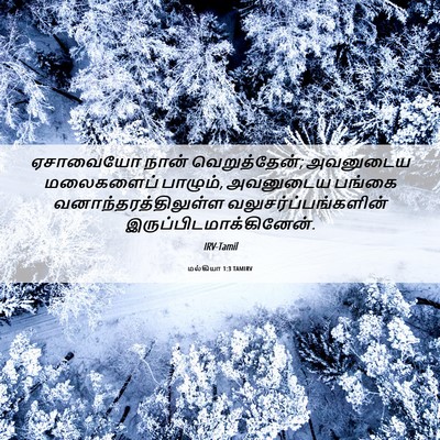 Picture 06 - மல்கியா 1:3 TAMIRV - ஏசாவையோ நான் - Bible Verse Picture