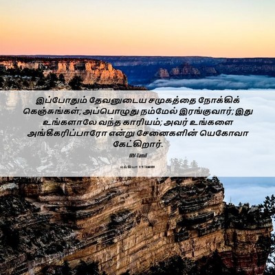 Picture 06 - மல்கியா 1:9 TAMIRV - இப்போதும் - Bible Verse Picture