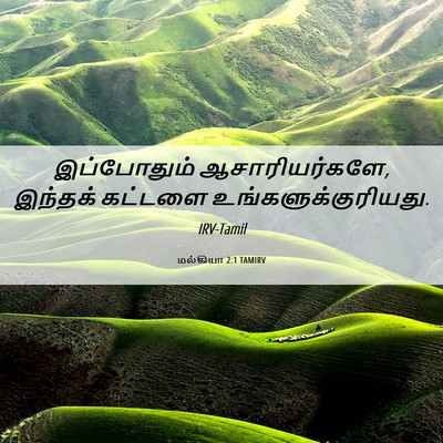 Picture 06 - மல்கியா 2:1 TAMIRV - இப்போதும் - Bible Verse Picture