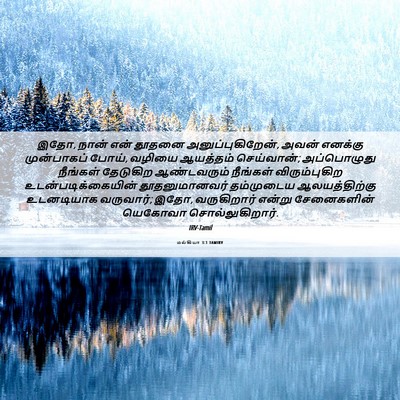Picture 06 - மல்கியா 3:1 TAMIRV - இதோ, நான் என் தூதனை - Bible Verse Picture