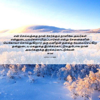 Picture 06 - மல்கியா 3:17 TAMIRV - என் செல்வத்தை - Bible Verse Picture