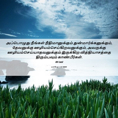 Picture 06 - மல்கியா 3:18 TAMIRV - அப்பொழுது நீங்கள் - Bible Verse Picture
