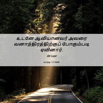 Picture 06 - மாற்கு 1:12 TAMIRV - உடனே ஆவியானவர் - Bible Verse Picture