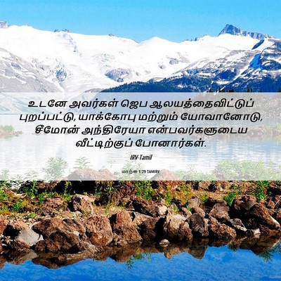 Picture 06 - மாற்கு 1:29 TAMIRV - உடனே அவர்கள் ஜெப - Bible Verse Picture