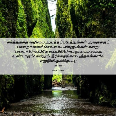 Picture 06 - மாற்கு 1:3 TAMIRV - கர்த்தருக்கு - Bible Verse Picture