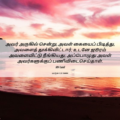 Picture 06 - மாற்கு 1:31 TAMIRV - அவர் அருகில் - Bible Verse Picture