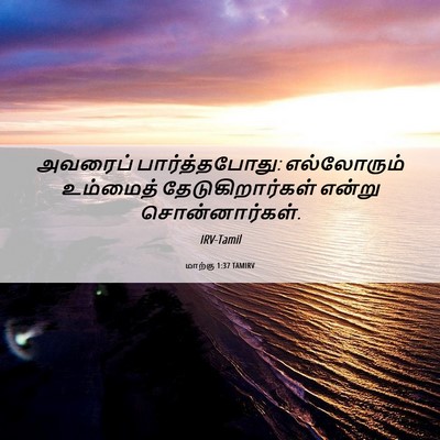 Picture 06 - மாற்கு 1:37 TAMIRV - அவரைப் - Bible Verse Picture