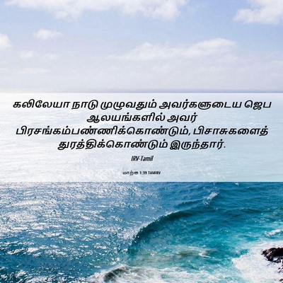 Picture 06 - மாற்கு 1:39 TAMIRV - கலிலேயா நாடு - Bible Verse Picture