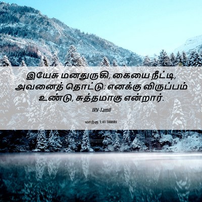 Picture 06 - மாற்கு 1:41 TAMIRV - இயேசு மனதுருகி, - Bible Verse Picture