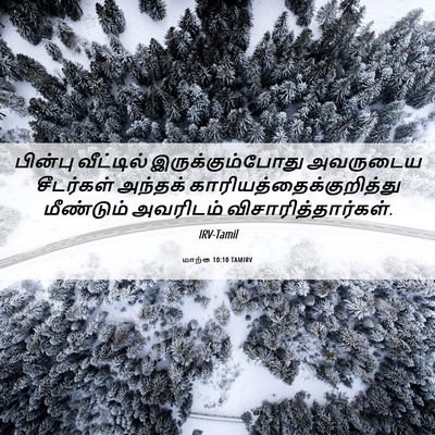 Picture 06 - மாற்கு 10:10 TAMIRV - பின்பு வீட்டில் - Bible Verse Picture