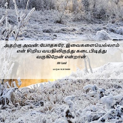 Picture 06 - மாற்கு 10:20 TAMIRV - அதற்கு அவன்: - Bible Verse Picture