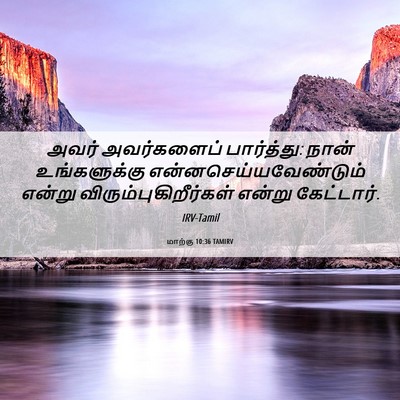 Picture 06 - மாற்கு 10:36 TAMIRV - அவர் அவர்களைப் - Bible Verse Picture