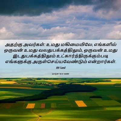 Picture 06 - மாற்கு 10:37 TAMIRV - அதற்கு அவர்கள்: - Bible Verse Picture