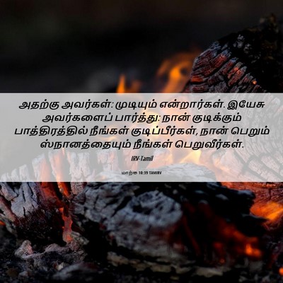 Picture 06 - மாற்கு 10:39 TAMIRV - அதற்கு அவர்கள்: - Bible Verse Picture