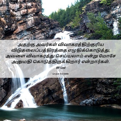 Picture 06 - மாற்கு 10:4 TAMIRV - அதற்கு அவர்கள் - Bible Verse Picture