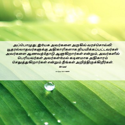 Picture 06 - மாற்கு 10:42 TAMIRV - அப்பொழுது, இயேசு - Bible Verse Picture