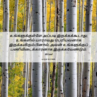 Picture 06 - மாற்கு 10:43 TAMIRV - உங்களுக்குள்ளே - Bible Verse Picture