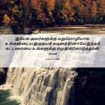 Picture 06 - மாற்கு 10:5 TAMIRV - இயேசு அவர்களுக்கு - Bible Verse Picture