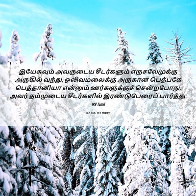 Picture 06 - மாற்கு 11:1 TAMIRV - இயேசுவும் அவருடைய - Bible Verse Picture