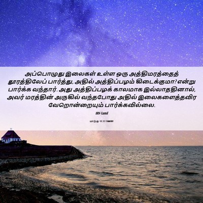 Picture 06 - மாற்கு 11:13 TAMIRV - அப்பொழுது இலைகள் - Bible Verse Picture