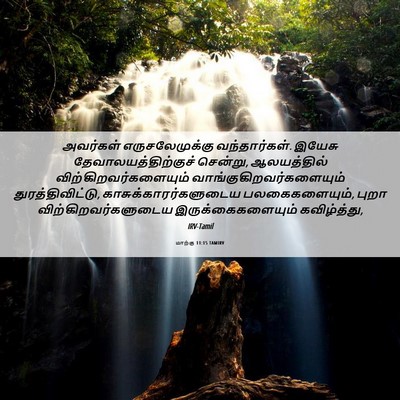 Picture 06 - மாற்கு 11:15 TAMIRV - அவர்கள் - Bible Verse Picture