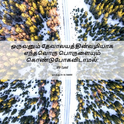 Picture 06 - மாற்கு 11:16 TAMIRV - ஒருவனும் - Bible Verse Picture